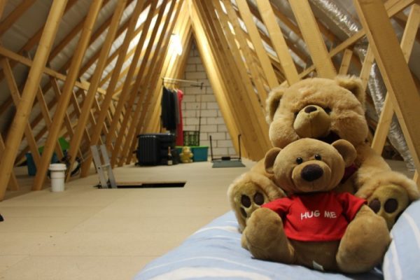 An attic with a light, boarded floors, a ladder access hatch and two teddy bears at the front.